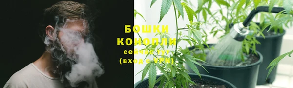 2c-b Кодинск