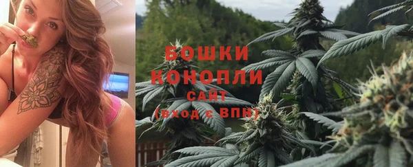дживик Козловка