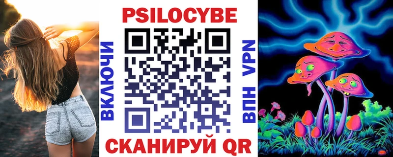 Купить закладки  Ивантеевка  Галлюциногенные грибы Psilocybe 